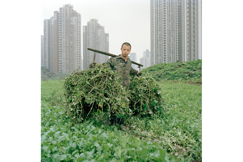 Wang Chengyun, a Chongqing resident, pauses for a photograph while helping his uncle clear an open plot on a construction site to use it for farming.