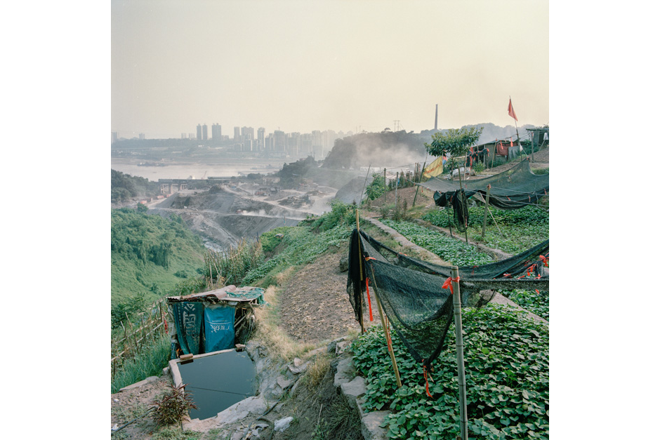 Removed from the rising dust and noise of the construction site in the distance, an orderly plot of land with greens and vegetables wait to be watered and weeded.