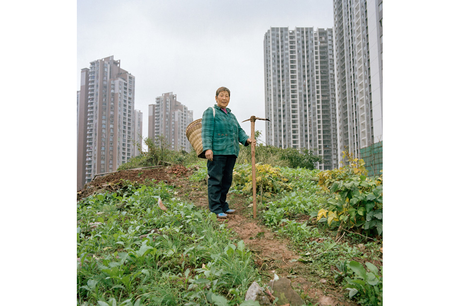 Fan Anshu moved to Chongqing from Fuling, a city of one million two hours east of Chongqing’s Central Business District. Her home and land were confiscated to make way for a highway. She receives RMB 700 (U.S.$111) a month in compensation. To help feed her family, she now grows vegetables on a muddy hillside next to a giant construction site in Jiangbei.