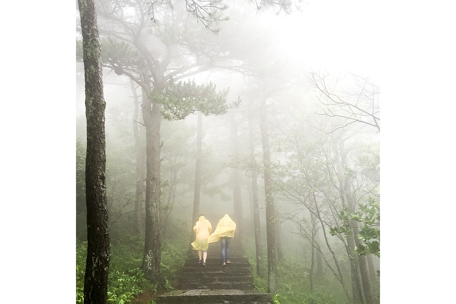 A couple makes its way uphill through wind and fog on Lushan, a mountain in Jiangxi province that has played host to cultural and political figures for centuries. Photo by Sim Chi Yin @chiyin_sim
