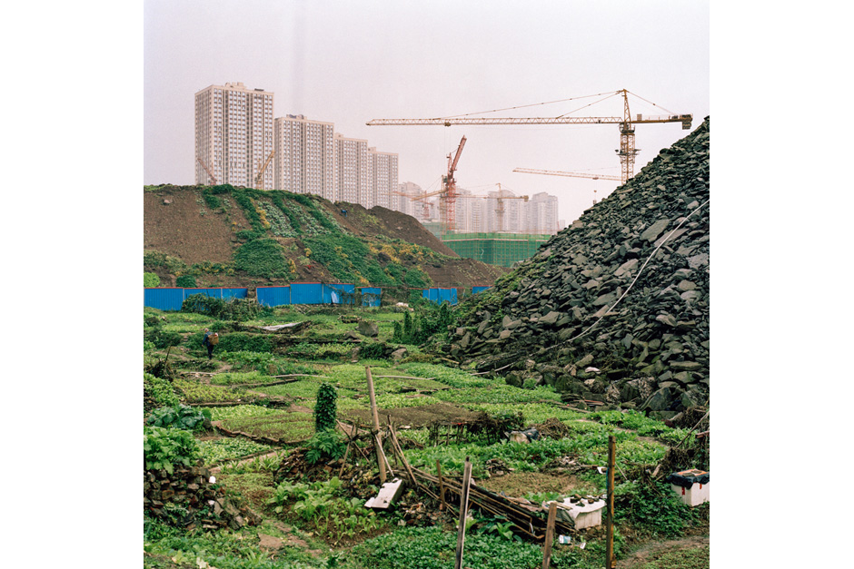 Improvised temporary farmland fills the gaps between construction rubble in a new Jiangbei development.