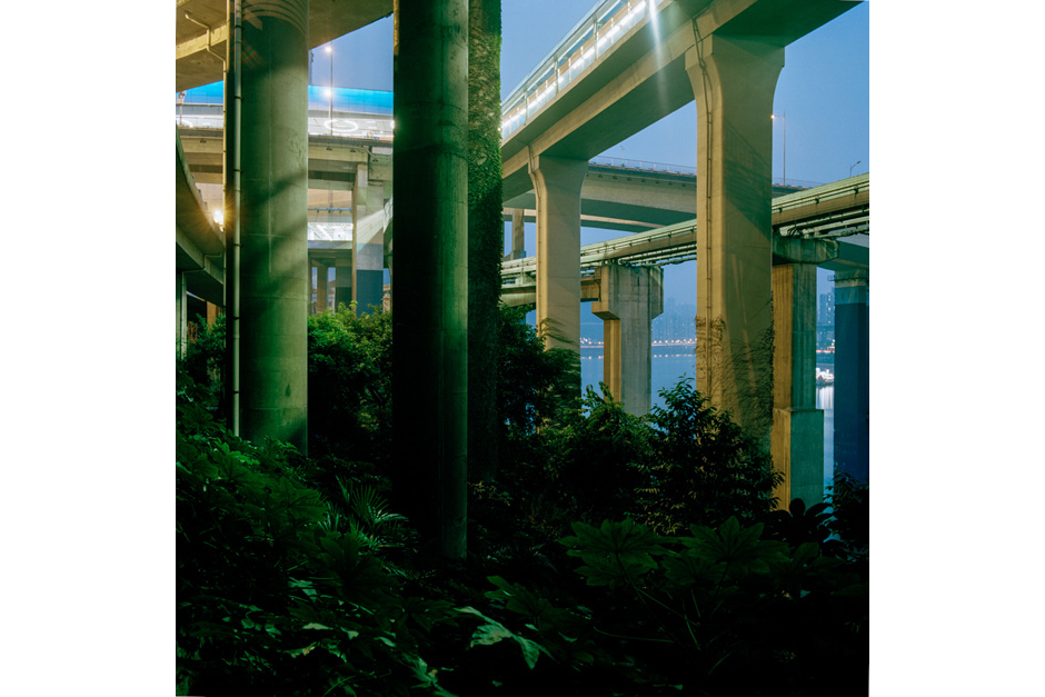 On the side of the Jialing river, under the Yu’ao bridge, the vegetation reaches upward in an apparent attempt to climb from the backfill and overtake the highway structure from below.