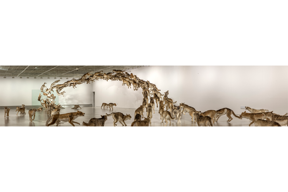An installation view of “Head On,” at the Power Station of Art gallery, 2014. (Photo by Zhang Feiyu, courtesy Cai Studio)