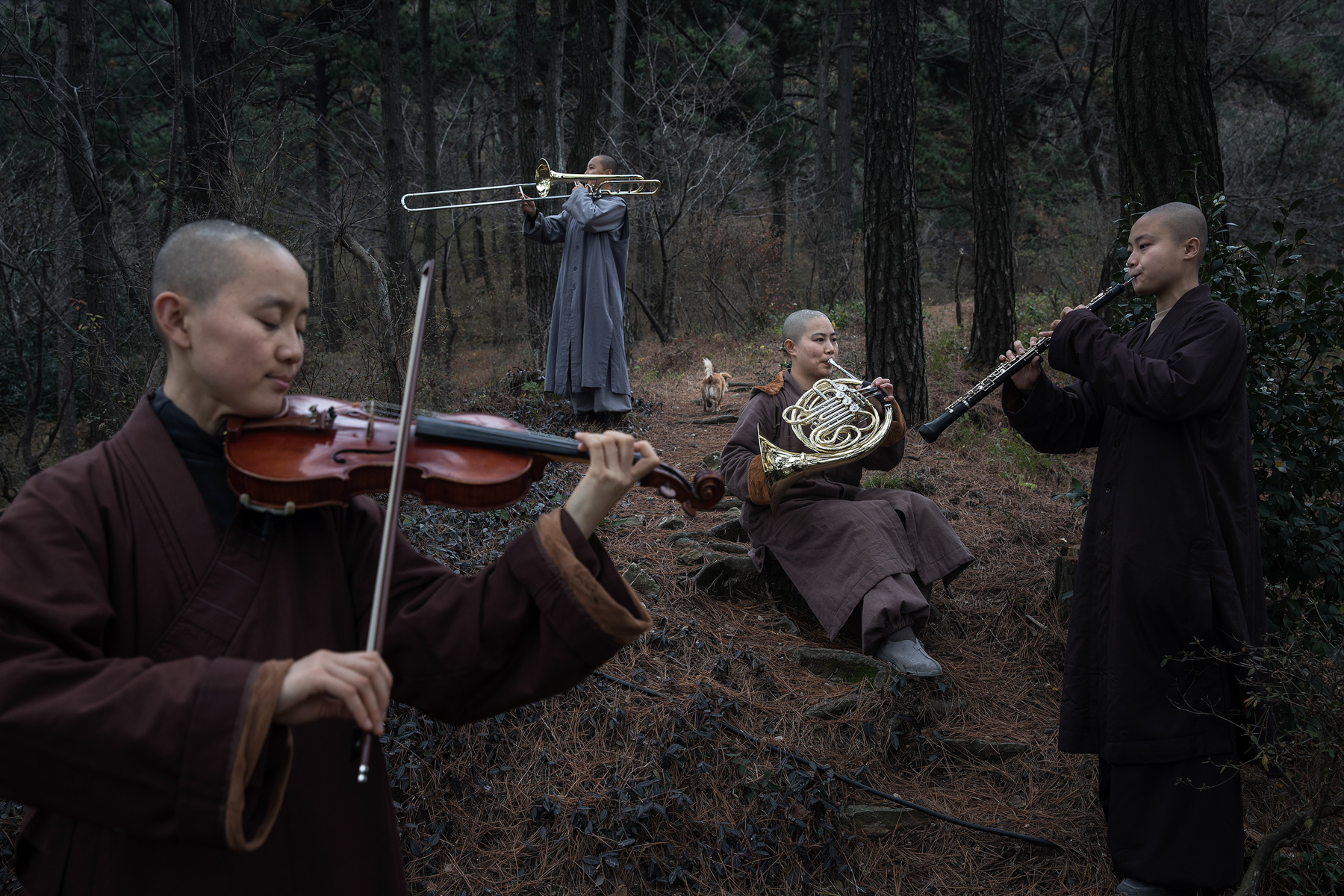 A rehearsal at the Tiantai Temple in Huanggang, Hubei province, November 22. Religious practice at Tiantai blends Buddhism with Western classical music. In 2008, Master Wule, a former musician, founded the temple’s orchestra “Guangxuan”––whose members number more than 40––to preach Buddhism and Zen philosophy through music. (Wang He/Getty Images)
