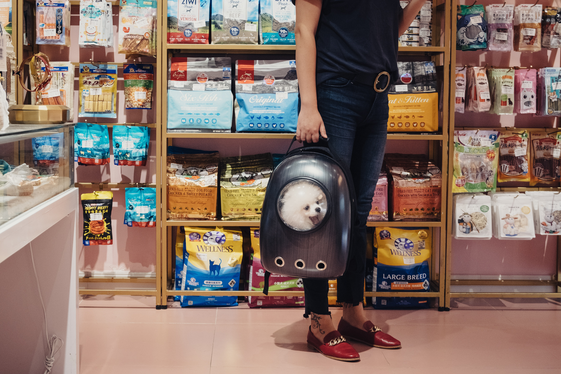 A dog and its owner at a local pet food shop in Shanghai, September 15. Chinese pets and their owners have become collateral damage in the trade war between the United States and China. A tariff China imposed in July made pet food imported from the U.S. more expensive. Pet spending is a huge and growing market in China. Many owners prefer imports because of concerns about the safety of domestic pet food. (Yuyang Liu for The New York Times)