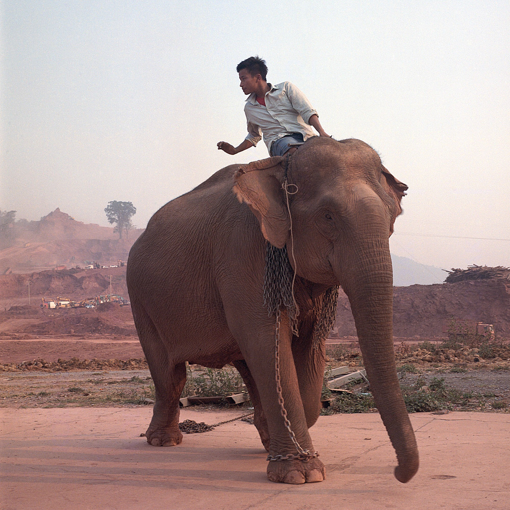 A man rides an elephant outside of the Eccellente Cabaret in Boten, April 11, 2019. Tourists attending the cabaret show can take photos with the elephant.