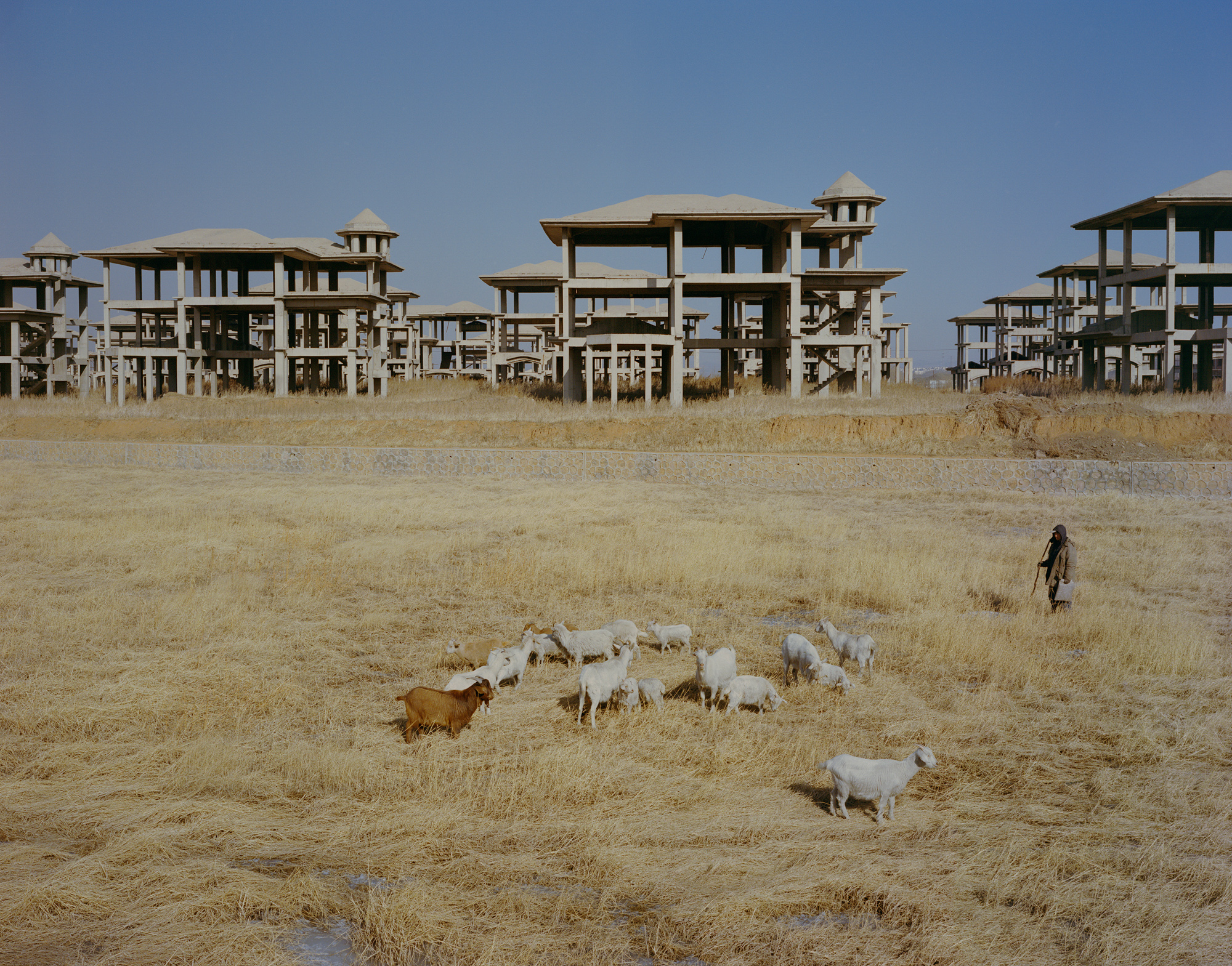 Lan Xianquan, 43, herds goats near an unfinished five-star hotel in Fuxin. Construction was abandoned five years ago because of the lack of follow-up investment. Lan worked for Haizhou Mine until it shut down in 2005 and has practiced goat husbandry in the years since. 