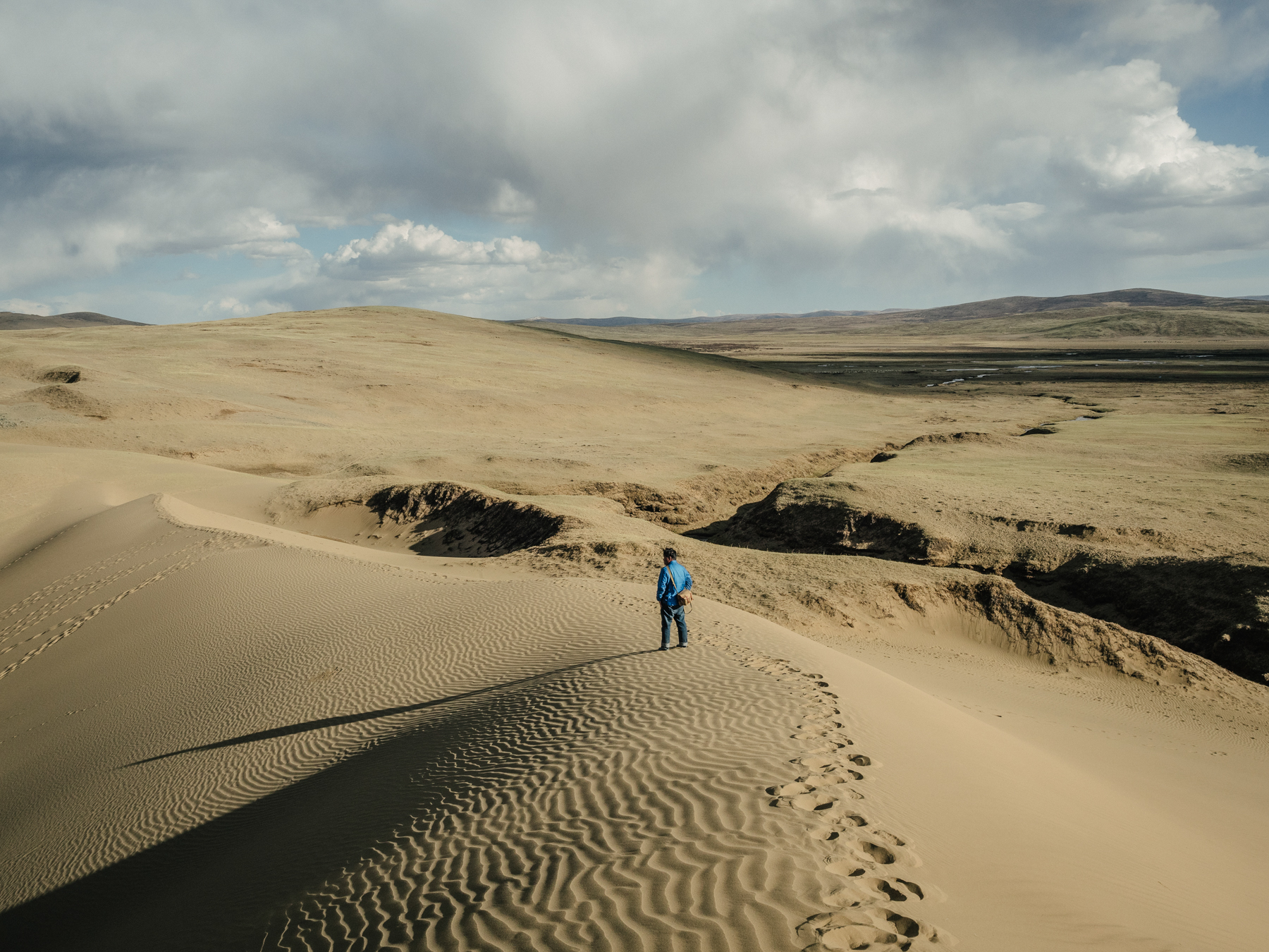 On the edge of a desert that was once grassland, Yang observes the landscape from the top of a sand dune.